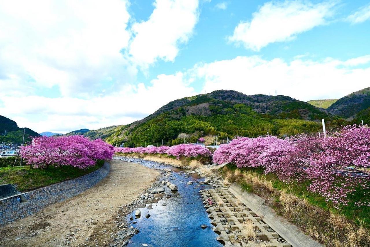 Vila Shobuzawa Log Kawazu Exteriér fotografie